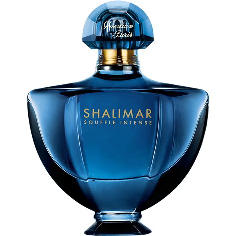 shalimar perfume dupe|shalimar by guerlain for women.